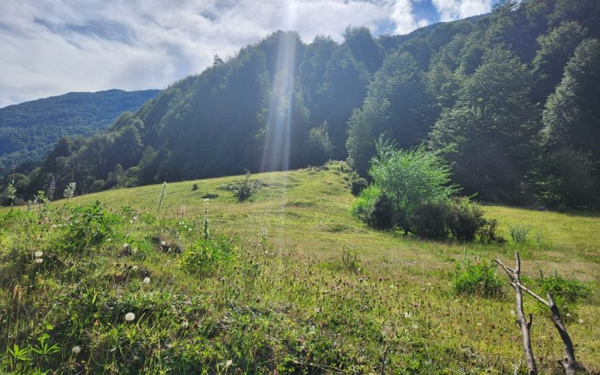 SE VENDE TERRENO EN PATAGONIA CHILENA REGIÓN DE AYSÉN